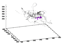 animation_new_klein.gif