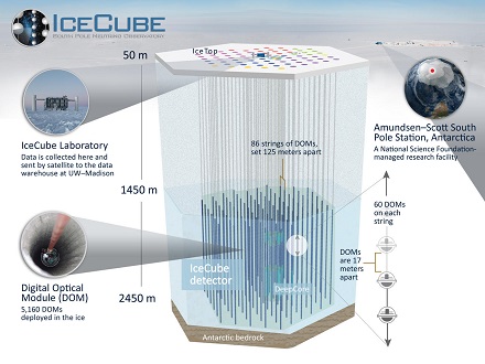icecube_detector_440px.jpg